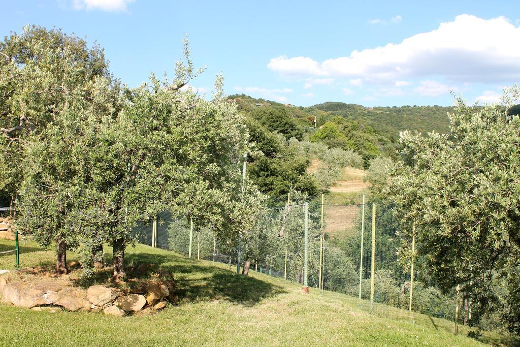 Agriturismo Malagronda Ravigliano Экстерьер фото